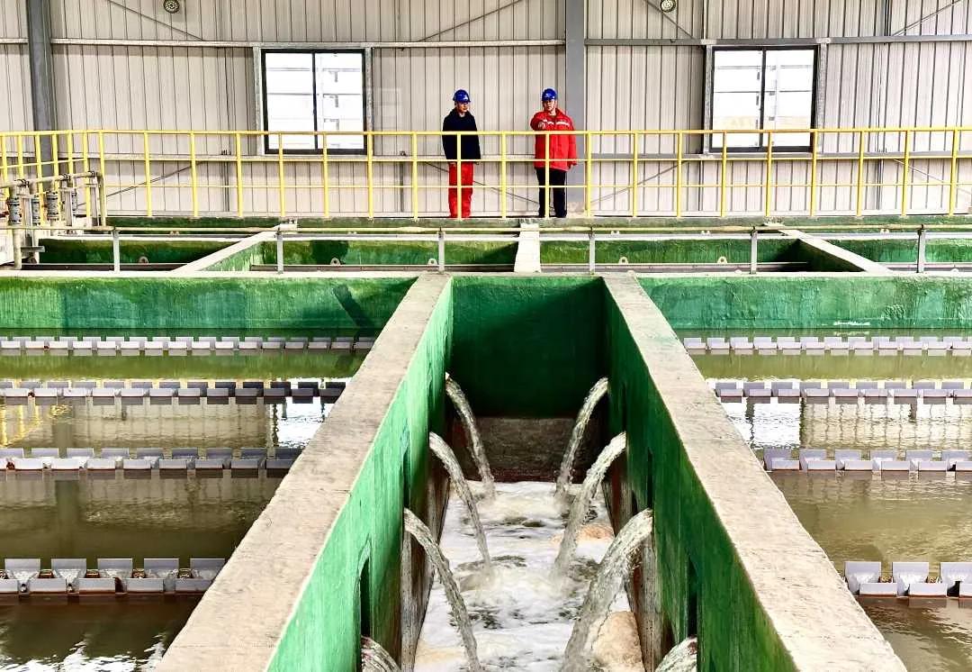 Wanhua (Penglai) Seawater Desalination Project, Phase I (100,000 m³/d)
