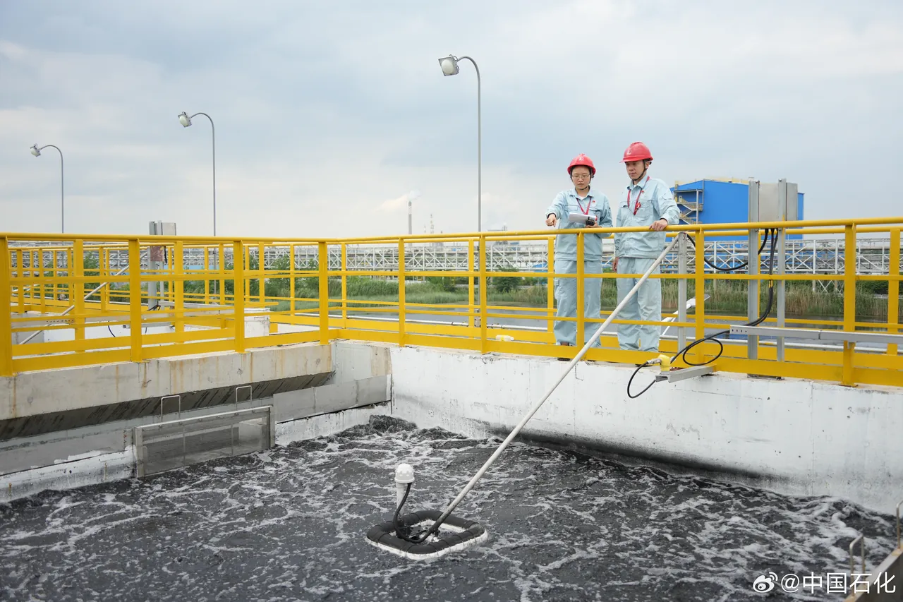 Yangzi Petrochemical Cooling Water Blowdown Treatment & Water Reuse Project