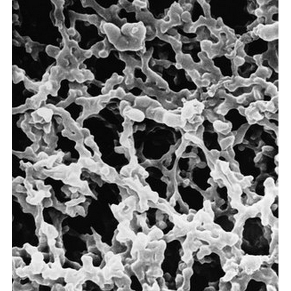 HAWP04700 Millipore Mixed Cellulose Ester Microporous Filter Membrane (0.45μm, Type HA)